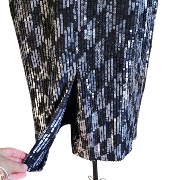 JENNI KAYNE‎ Sequins Midi Skirt Sz 4 100% Silk Lined Cocktail Luxurious Fancy - Picture 3 of 9